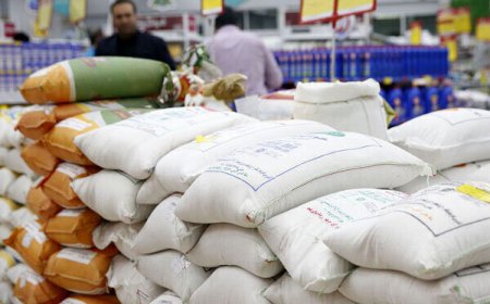 نظارت مستمر بر بازار در اولویت است
