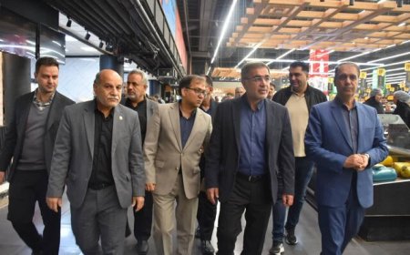 نظارت بر بازار برای پیشگیری از افزایش غیرمنطقی کالاها در فارس