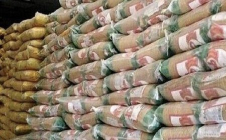 آغاز توزیع ۴۴۸ تن کالای تنظیم بازار در کهگیلویه و بویراحمد