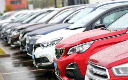 تردد خودروهای پلاک منطقه آزاد قشم