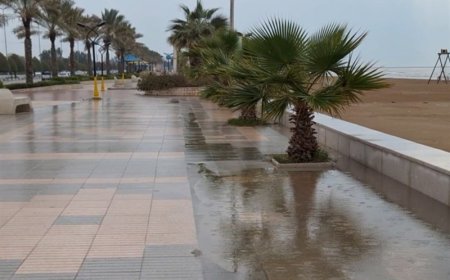 آغاز فعالیت سامانه بارشی در استان بوشهر