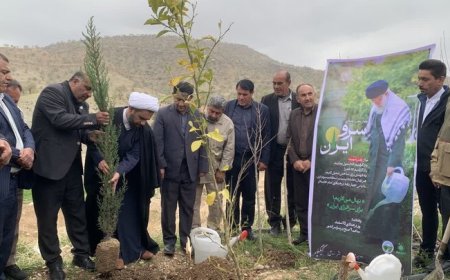 مردم روستای قلعه جلوی چاروسا ۷۰۰ اصله درخت در پویش سرو ایران کاشتند