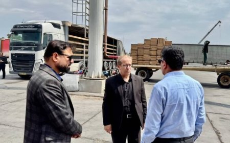 فرماندار دیر: روند تخلیه و ترخیص کالا در اسکله بندر دیر مطلوب است