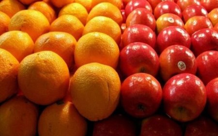 ذخایر کالا و میوه شب عید به اندازه کافی در هرمزگان پیش بینی شده است