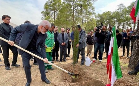 تکمیل کمربند سبز شیراز با کاشت 700 هزار نهال و 7 میلیون بذر