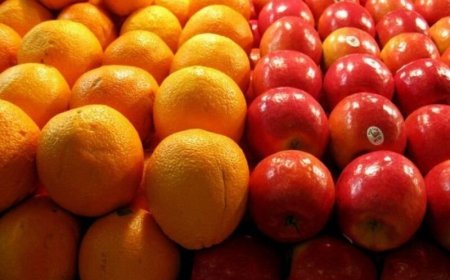 ۱۰۵ تن سیب و پرتقال