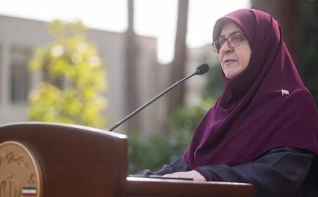 سخنگوی دولت: ماهانه ۲ میلیون تومان به حساب مادران واریز می‌شود