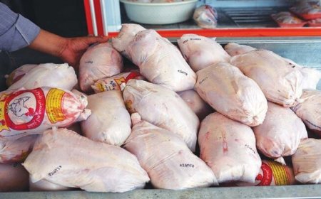 ۴۸ تن کالای اساسی در شهرستان گناوه توزیع می شود