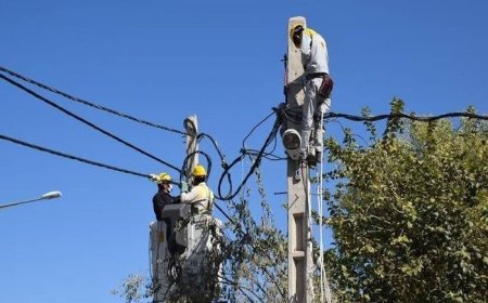 مدیرعامل شرکت توزیع نیروی برق استان بوشهر