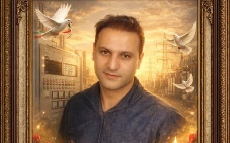 شهادت یک مهندس صنعت برق استان فارس/ شبکه برق پایدار است