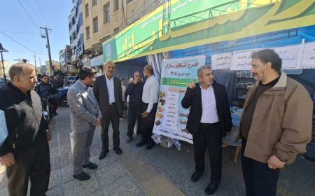 نظارت بر توزیع میوه در فارس تا پایان تعطیلات نوروز ادامه خواهد داشت