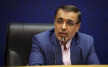 تحقق 115 همت سرمایه‌گذاری در فارس