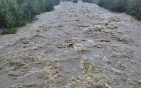 خودروی سواری طعمه طغیان رودخانه دشت پلنگ شد