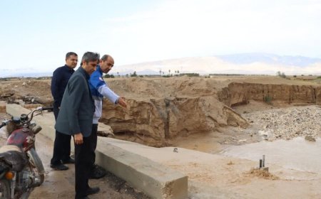 فرماندار دشتی: بخشی از جاده درازی–چاوشی در پی بارندگی شدید تخریب شد