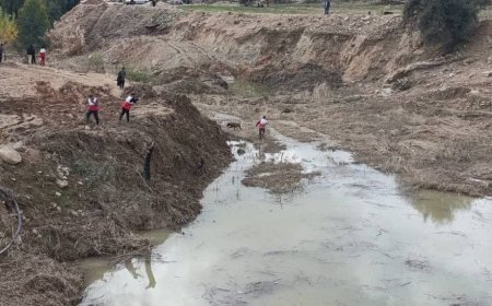 مسیر مواصلاتی ۲ روستای لامرد در اثر آبگرفتگی مسدود شد