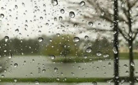 گسترش بارش رگبارهای بهاری و تگرگ در فارس/ دشت ارژن در صدر میزان بارش‌ها تاکنون