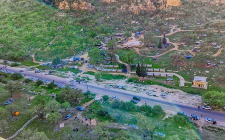 جشن رنگ‌های بهار در دشتک "دیل" گچساران
