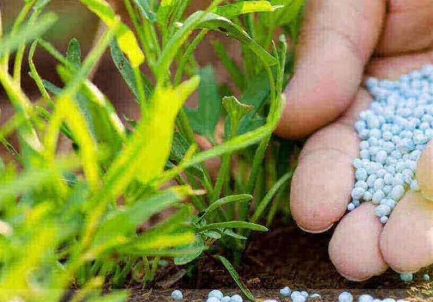 تداوم توزیع کود‌های یارانه‌ای کشاورزی در فارس