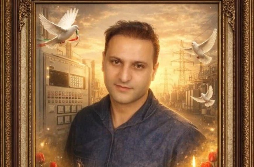 شهادت یک مهندس صنعت برق استان فارس/ شبکه برق پایدار است