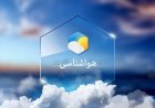 گرمای بوشهر ماندگار شد؛ افزایش شرجی تا پایان هفته