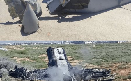 انهدام دو فروند پهپاد «MQ9» توسط ارتش در شیراز