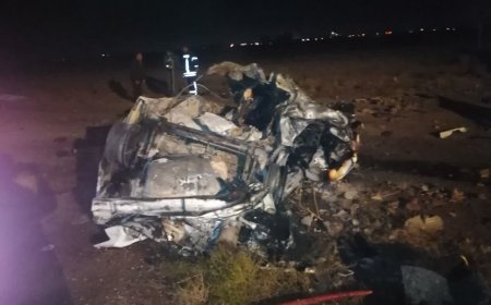 واژگونی خودرو در بزرگراه بوشهر–برازجان