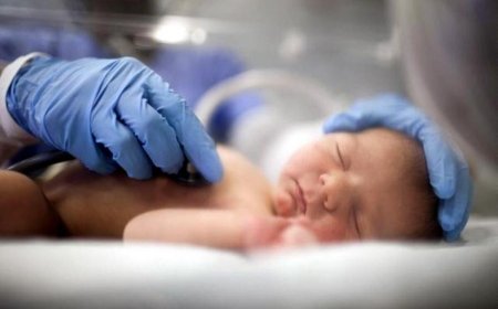 تولد بیش از ۱۶۰۰ نوزاد در هرمزگان؛ روایت ادامه زندگی در دل جنگ
