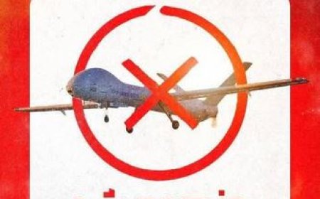 انهدام یک فروند پهپاد هرمس ۹۰۰ در آسمان فارس