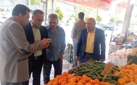 بازرسی میدانی از بازار شیراز