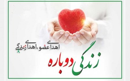 اعضای بدن دختر ۱۱ ساله فیروزآبادی نجات‌بخش بیماران شد