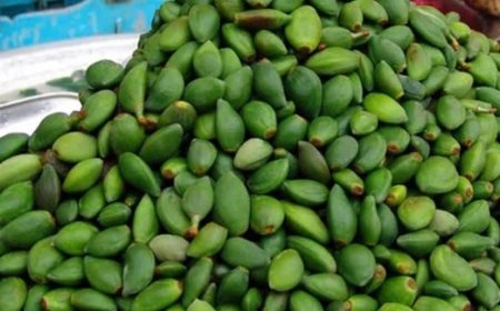 از باغ‌های فارس تا سفره همسایه‌ها؛ چغاله بادام راهی عراق شد
