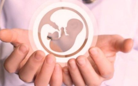 آوای زندگی؛ ۳۷ قلب کوچک نجات یافتند