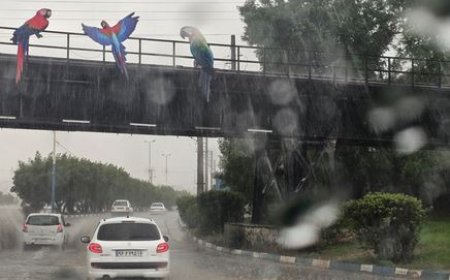 صدور ۲ هشدار هواشناسی مبنی بر فراگیر شدن بارندگی در خوزستان