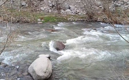 طرح ساماندهی رودخانه بشار یاسوج نیازمند ۱۵۰۰ میلیارد تومان
