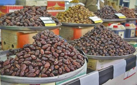 پیش بینی برداشت ۳۴ هزار تن خرما از نخلستان های رودان