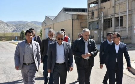مدیرکل صمت فارس: رفع موانع صنایع آسیب‌پذیر در اولویت است