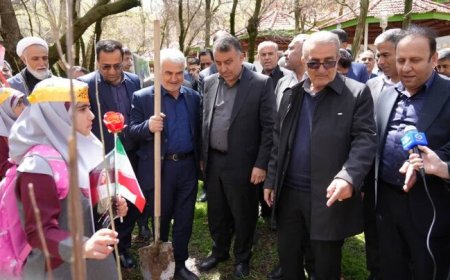 پویش درختکاری با یاد شهدای مدرسه میناب در کهگیلویه و بویراحمد برگزار شد