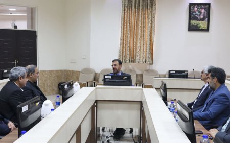 تأکید استاندار فارس بر اولویت‌بخشی به «تولید» در حوزه کشاورزی