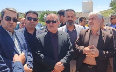 کهگیلویه و بویراحمد در آستانه خودکفایی تولید جوجه یک‌روزه