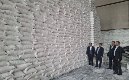 جریمه ۷۰ میلیارد ریالی یک محتکر کالاهای اساسی در کهگیلویه