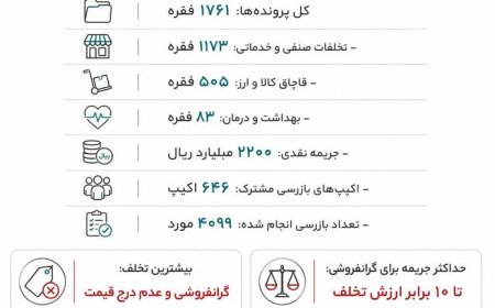 تعزیرات فارس  برای متخلفان به میدان آمد