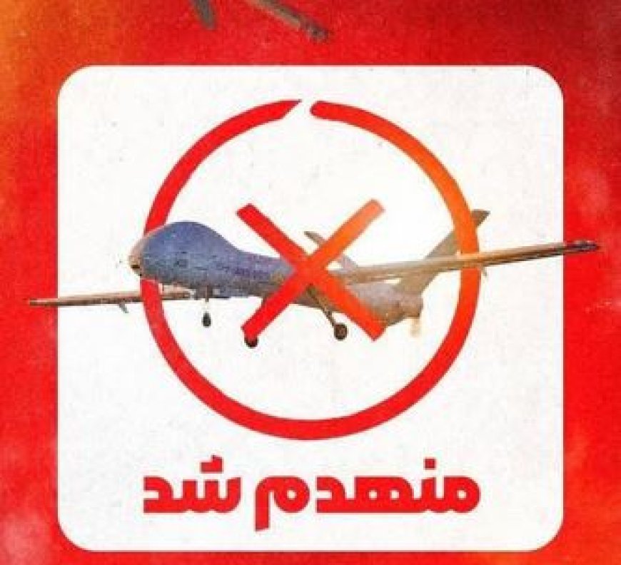 انهدام یک فروند پهپاد هرمس ۹۰۰ در آسمان فارس