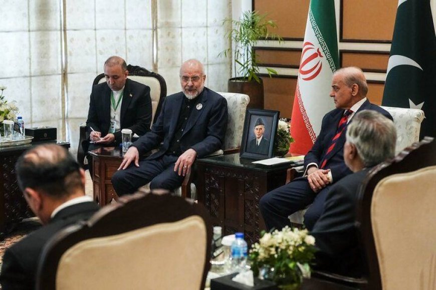 گزارش بقایی از روند مذاکرات اسلام‌آباد