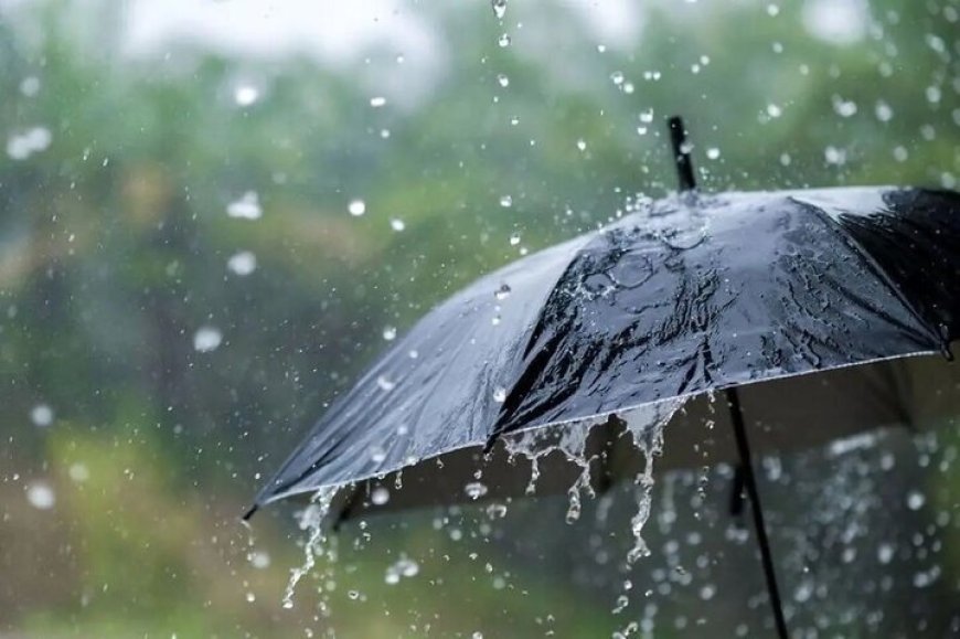 آغاز بارش باران در استان بوشهر از امروز