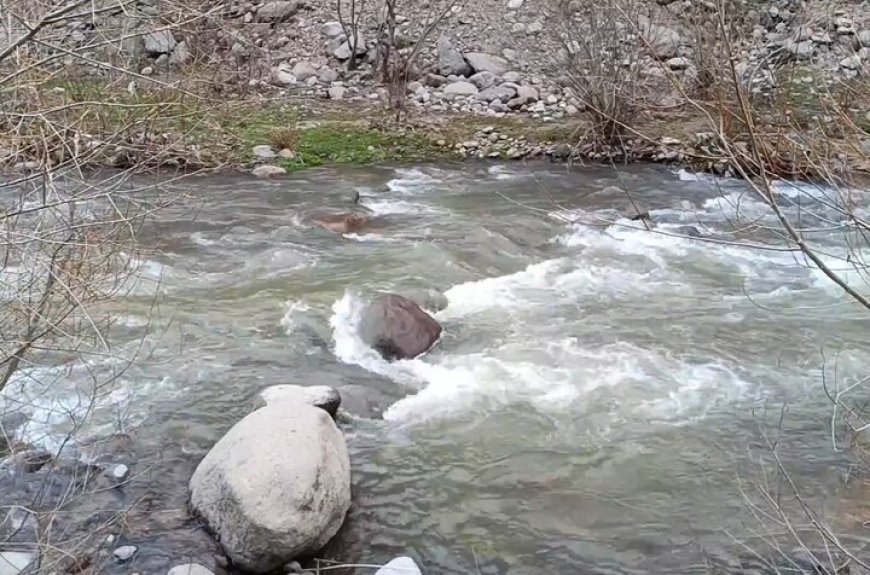 طرح ساماندهی رودخانه بشار یاسوج نیازمند ۱۵۰۰ میلیارد تومان