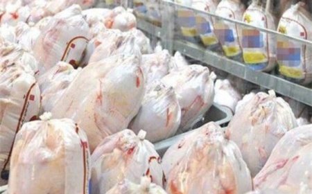 گلایه رئیس بازرسی منطقه ۳ کشور از گرانی قیمت مرغ گرم در فارس