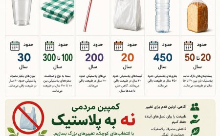 چند سال طول می‌کشد تا زباله‌ها در طبیعت تجزیه شوند؟