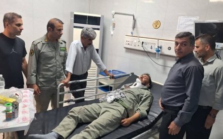 سقوط محیط‌بان منطقه حفاظت شده کوه «گزیر» حین مأموریت