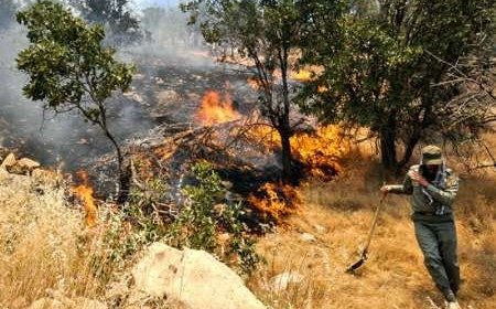 آتش‌سوزی در حومه غربی دهدشت؛ عملیات مهار حریق همچنان ادامه دارد