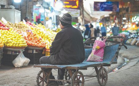 راه‌اندازی ۲۸ روستابازار در استان بوشهر؛ حذف دلال‌ها و خرید بی‌واسطه